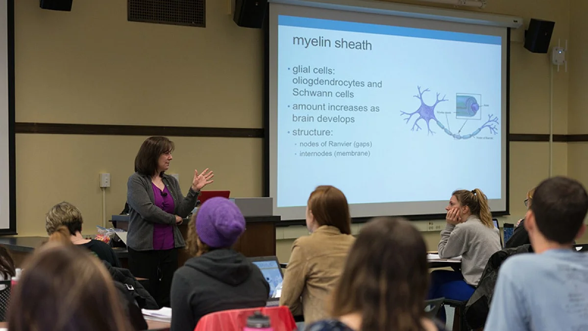 Instructor using a classroom projector while teaching students