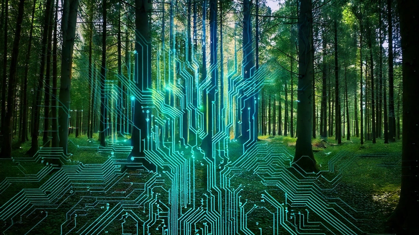 Blue circuitboard over green forest (AI-generated)
