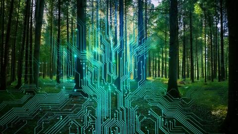 Blue circuitboard over green forest (AI-generated)