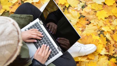 Woman with laptop among fallen yellow leaves